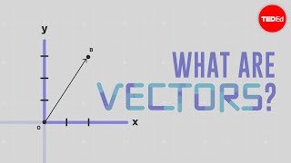 What is a vector  David Huynh [upl. by Becca]