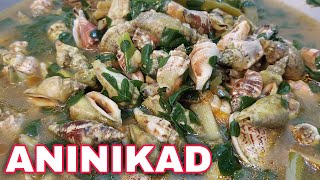 HOW TO COOK ANINIKAD  KINHASON SHELL RECIPE  SINABAWANG ANINIKAD WITH MALUNGGAY  Tambayan Cooking [upl. by Ikik]