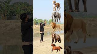 Wild Animals To Wild Animals Name Talking shorts mmmrazz funny comedy [upl. by Alba]