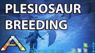 Plesiosaur Breeding and Water Pen Ark Survival [upl. by Belden696]