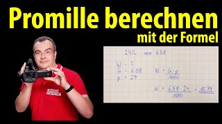 Promille berechnen mit Formel  einfach erklärt  mehrere Übungen  Lehrerschmidt [upl. by Damicke183]