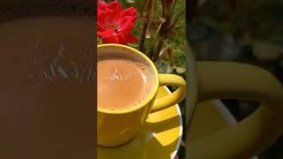 Chai Status  Tea Status  Chai Song  Aaj Ki Chaye  Chai Per Song  Chai Lover Status  Chai Chai [upl. by Neelehtak]