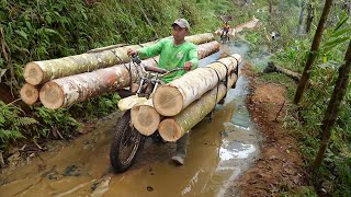 Dangerous Method They Use to Transport Gigantic Logs in Forest [upl. by Baseler]