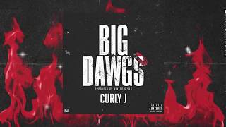 Curly J  Big Dawgs Official Audio [upl. by Cynar]