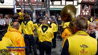 Boerenkapel De Zwiebels auf dem Weinfest in Bernkastel [upl. by Yrannav]