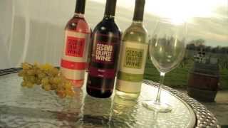 Second Cheapest Wine [upl. by Zsa Zsa]