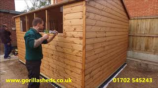 12 x 10 apex garden shed with double doors on Ecobase [upl. by Teraj]