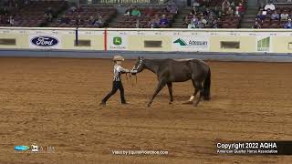 2022 Farnam AQHA and Adequan Select World Amateur Showmanship [upl. by Kirsti]