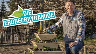 Vertikaler Garten Erdbeerpyramide selber bauen [upl. by Duomham]