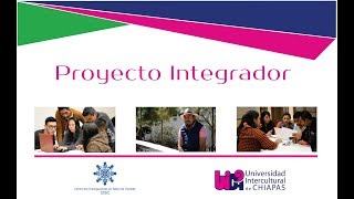 Proyecto Integrador [upl. by Geilich]