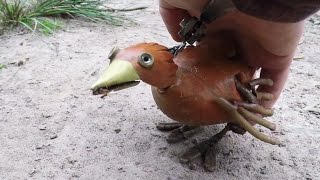 Dabchick 6 How To Please A Chick [upl. by Amisoc655]