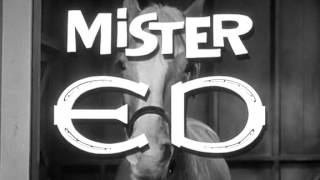 Mister Ed Intro S3 1963 [upl. by Jary601]