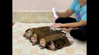 4 Siblings Sleep Very Relax amp Comfy While Mom Apply Lotion For Them Very Gently [upl. by Wittie]