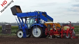 Lilies Planting  QJ Vink amp Zn  New Holland T6090  Lelies planten  Uddel  The Netherlands [upl. by Amir]