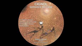 Cignol  Guidance Release DWT009 [upl. by Ttayh]