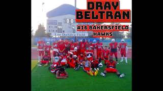 Year 2 SemiPro  Bakersfield Hawks 16 2022 Season Highlights [upl. by Leissam]