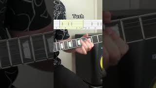 Tush Guitar  Tabs guitarsheetmusic guitartutorial guitarcover [upl. by Jat381]