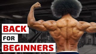 Back Workout for Beginners [upl. by Debarath]