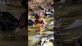 Child fell into pond of overfed crocodilesthrilled visual impact [upl. by Hedaza780]