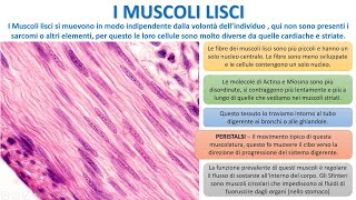 I TESSUTI MUSCOLARI LISCI [upl. by Secnarf]