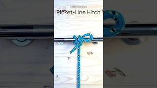 Picketline hitch knot rope loop bend cord line hitch tie tourism camping diy [upl. by Eural]