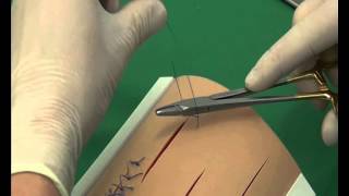 CSL Cruciate suture pattern [upl. by Alset]