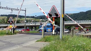 Railroad Crossing  Moudon CH  Bahnübergang Route de Siviriez  Passage à niveau [upl. by Raina33]