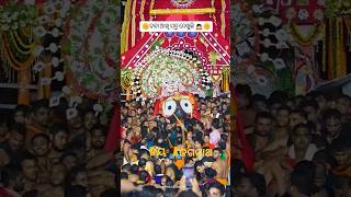 Bhajutha hari hari lo sari🙏New odia jagannath bhajan🙏whatsap statu video🙏ytshort [upl. by Damek]