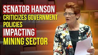 Senator Hanson Criticizes Government Policies Impacting Mining Sector [upl. by Smiley]