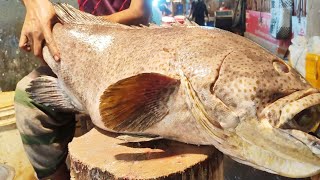 Amazing Big Hamour Fish Skinning amp Chopping In Fish Market Cutting SkillsHamour Fish [upl. by Arema334]