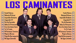 LOS CAMINANTES SUS MEJORES CANCIONES  LOS CAMINANTES GRANDES ÉXITOS ROMANTICAS DEL RECUERDO [upl. by Moran]