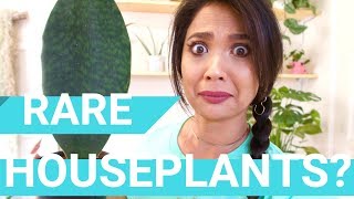 Plant Haul 002  Rare Houseplants  September 2018 [upl. by Ydwor]