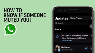 How To Know If Someone Muted You On WhatsApp easy [upl. by Anayk]