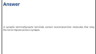 What part of a neuron relays signals from one neuron to another neuron or to an effector [upl. by Patricio532]