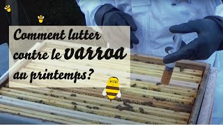 Comment lutter contre le varroa au printemps [upl. by Aicilyhp]