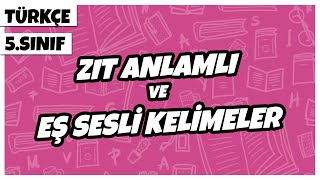 5 Sınıf Türkçe  Zıt Anlamlı Ve Eş Sesli Kelimeler  2022 [upl. by Denae710]