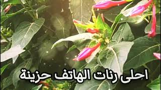 احلى رنات الهاتف حزينة 😍 نغمات رنين للموبايل موسيقى حزينة للهاتف 💔 [upl. by Allicsirp]