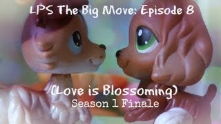 ♥ LPS The Big Move Episode 8 Love is Blossoming SEASON 1 FINALE [upl. by Nahguav]