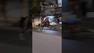 Kohinoor horse riding video 🐎 horseriding horsevideo shortsfeed browsefeatures trendingshorts [upl. by Cadmann]