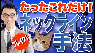 【FXネックライン手法】ネックラインの引き方からトレードまで！ [upl. by Einohpets]