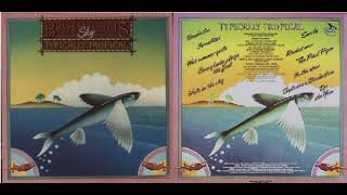 Typically Tropical  Barbados Sky 1975 Full Album vinyl [upl. by Aileve]