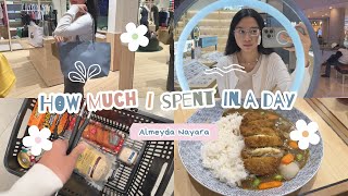 How much I spent in a day  Almeyda Nayara [upl. by Boehike]