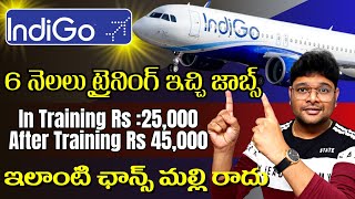 Permanent Airlines jobs  Indigo IAL Program 2024  Indigo Recruitment 2024  Latest jobs in Telugu [upl. by Gerger]