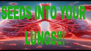 What Happens What happens if a Seed Gets Into Your Lung 😳 facts humanbody science [upl. by Epifano]