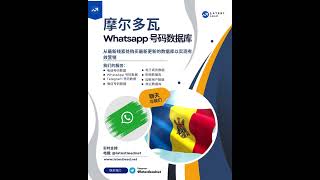 摩尔多瓦 WhatsApp 号码数据库  Latest Lead [upl. by Gualtiero]