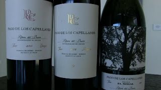 Pago de los Capellanes Ribera del Duero Winery Tour [upl. by Annet61]