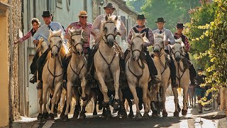 CAMARGUE Sous les sabots  Un film de Frédéric Bonnet et Éric Fontaneilles Bande Annonce [upl. by Iroak]