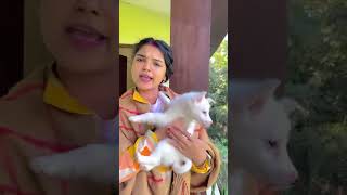 Kamar me bhojpuri kamar trending sorts shortfeed [upl. by Resneps505]