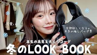 今年の冬はおとなっぽく。高見え垢抜けLOOKBOOK☃️🤍が可愛すぎるよ〜  PolèneZOZO kastane [upl. by Burgess]