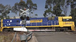 Level Crossing Greenacre Enfield Yard NSW Australia [upl. by Ignazio]